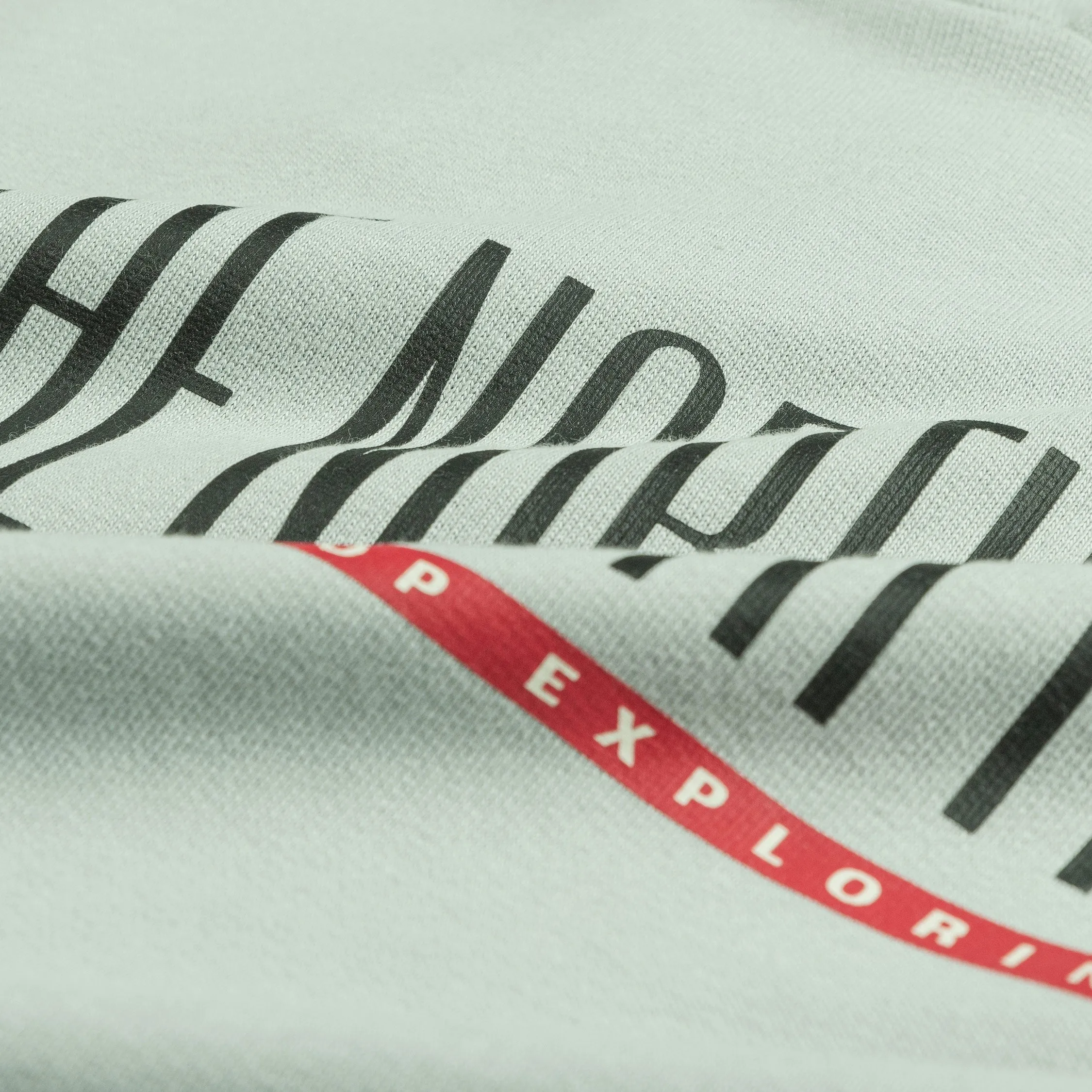 The North Face TNF Est 1966 Hoodie High Rise sold by Asphalt Gold product image thumbnail 4