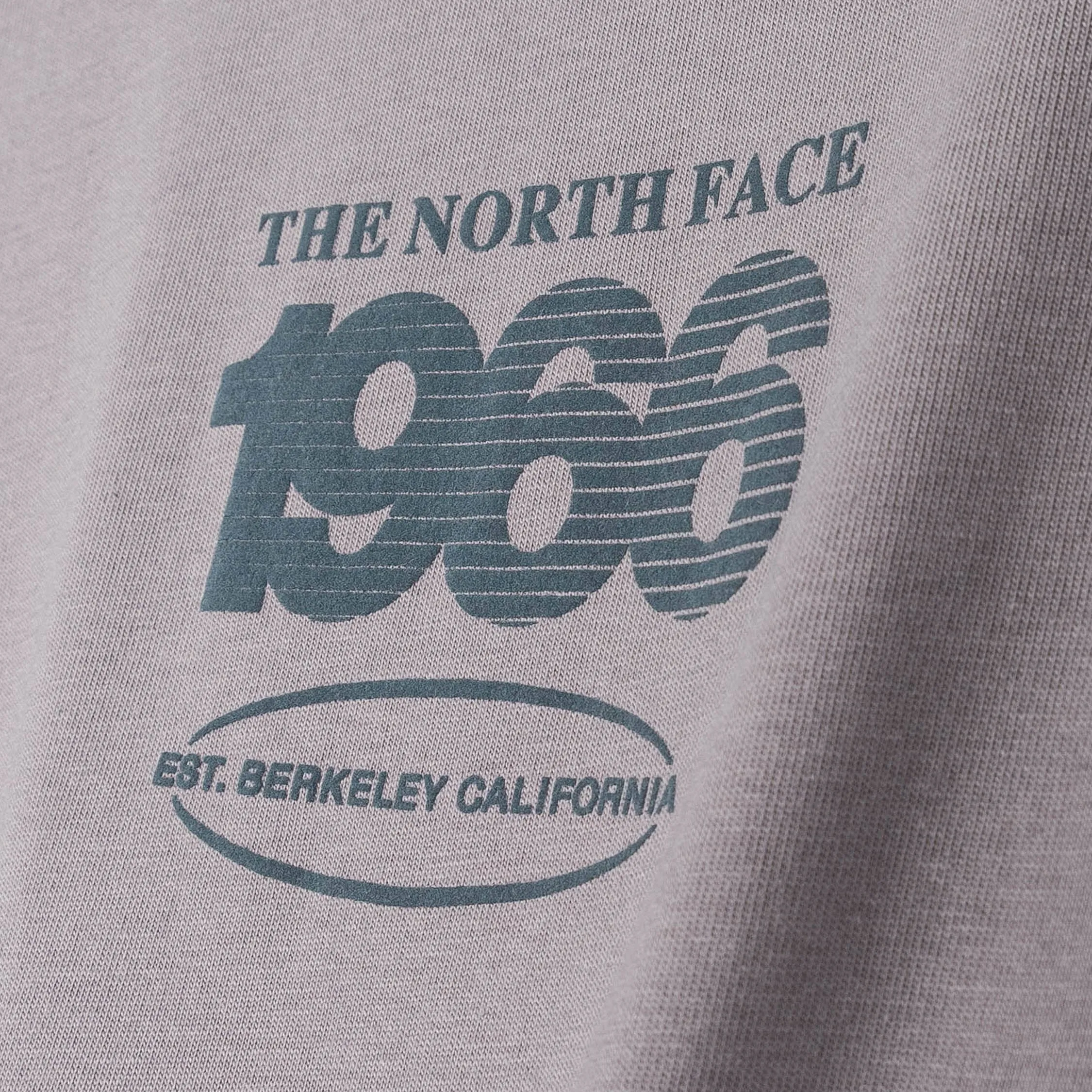 The North Face Track Relaxed Graphic T-Shirt sold by Asphalt Gold product image thumbnail 4