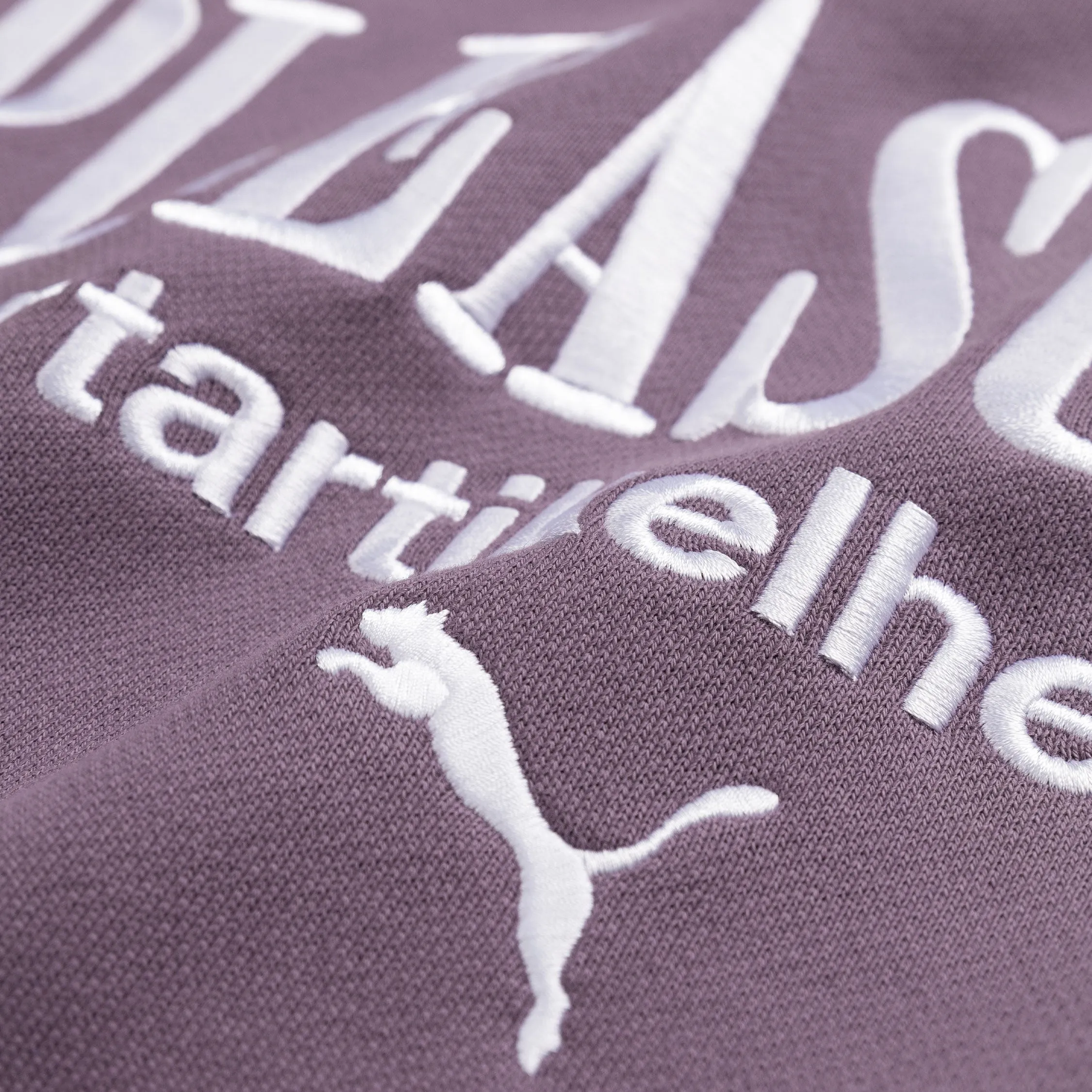 Puma x Pleasures Graphic Hoodie sold by Asphalt Gold product image thumbnail 4