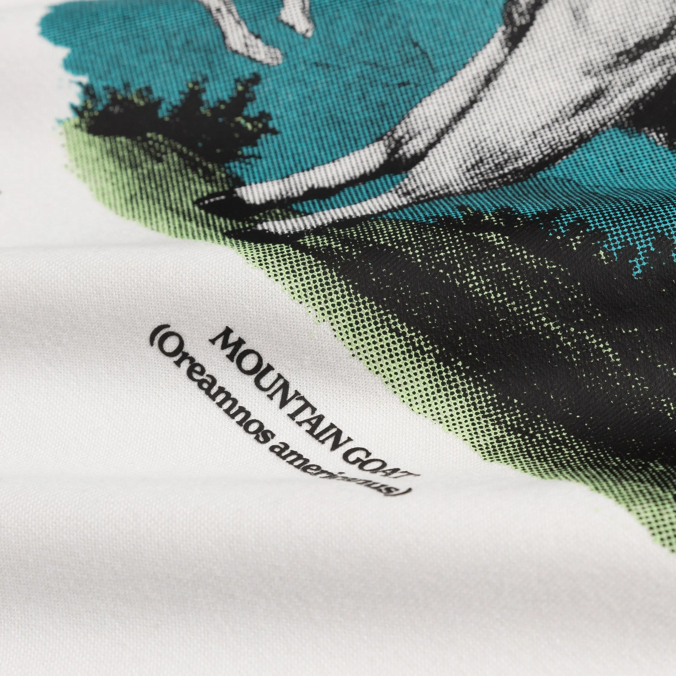 Nike ACG Dri-Fit Goat T-Shirt sold by Asphalt Gold product image thumbnail 4