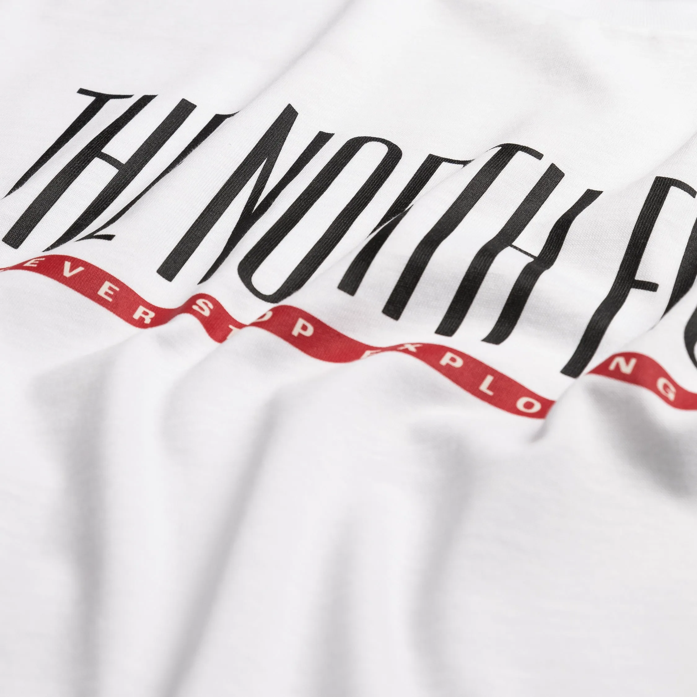 The North Face TNF Est 1966 Tee sold by Asphalt Gold product image thumbnail 4