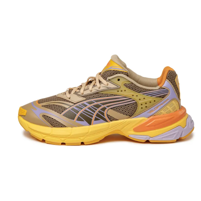 Puma Velophasis Multi sold by Asphalt Gold