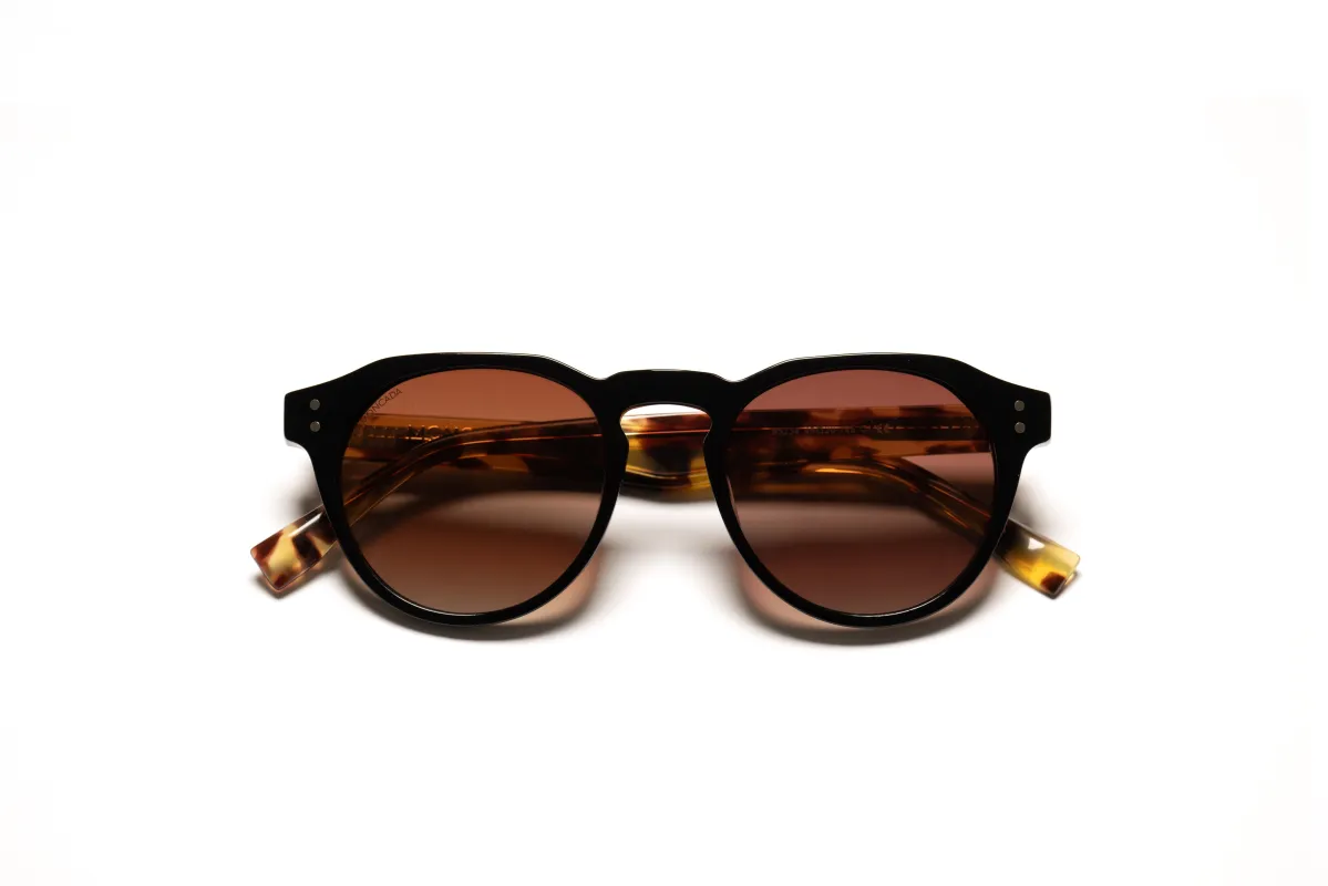 PANAREA | BLACK HAVANA sold by Moncada Eyewear