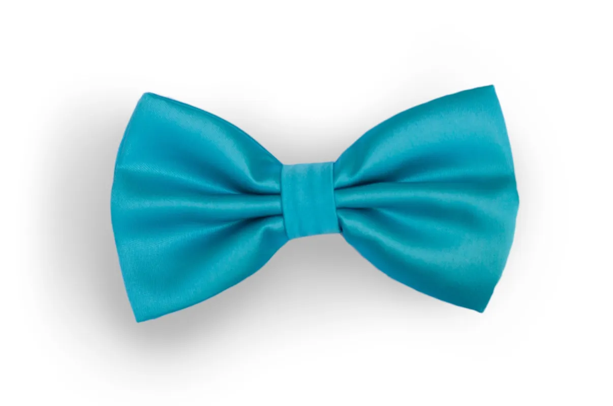 #119 Bow Tie made by Alain Dupetit