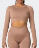 Classic Seamless Long Sleeve Top - Biscuit sold by Muscle Nation