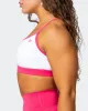 Rapid Bra - White / Flamingo sold by Muscle Nation