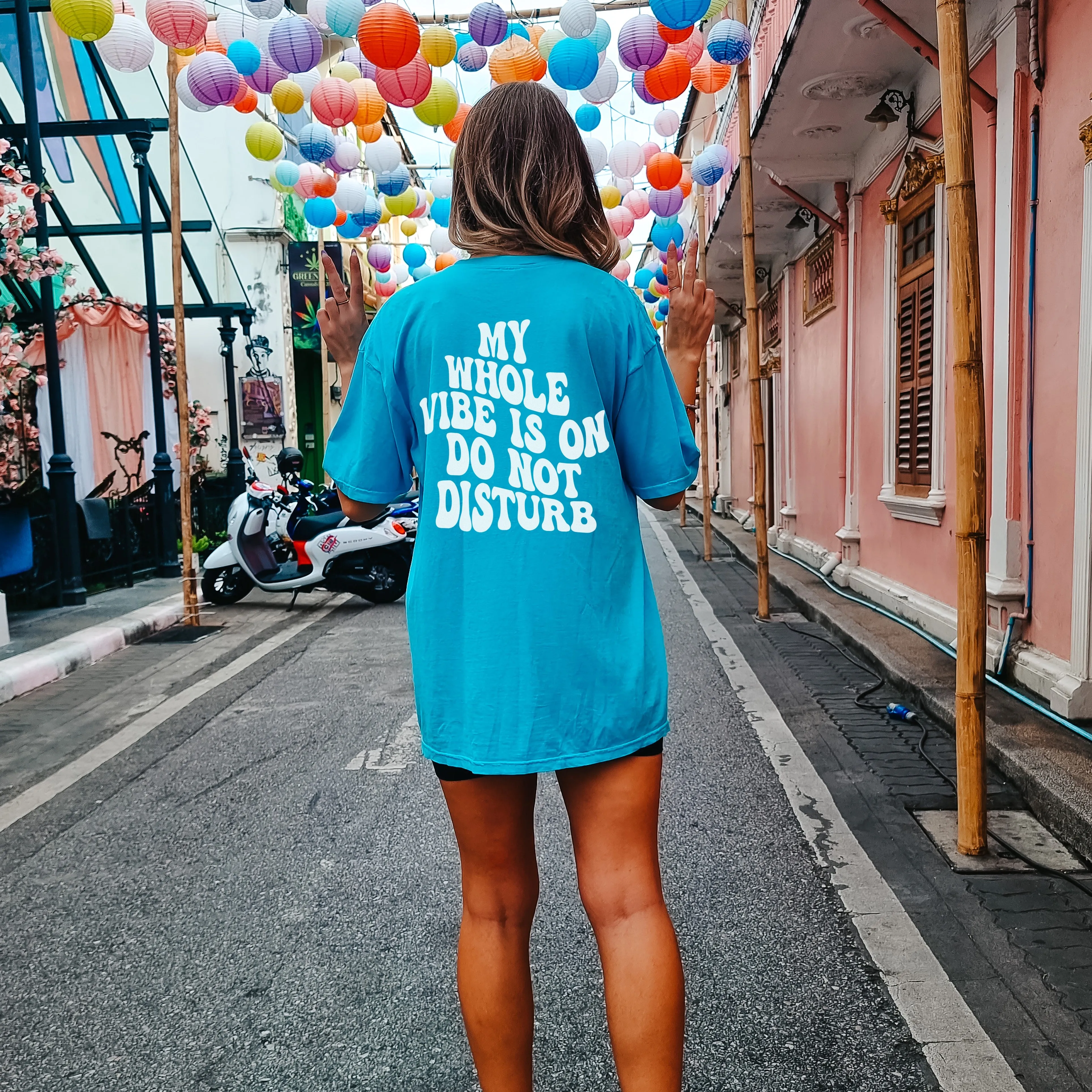 Do Not Disturb Heavyweight Graphic Tee sold by Alley and Rae product image thumbnail 5