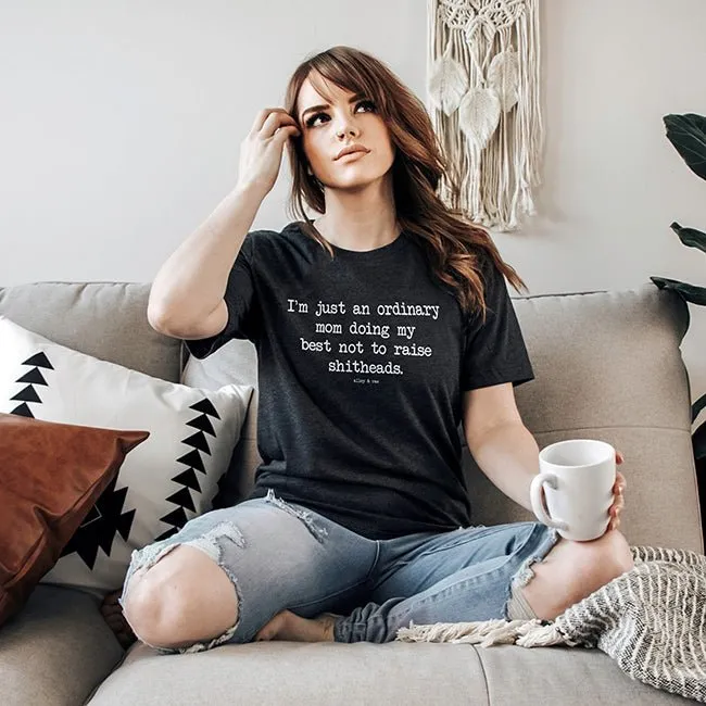 Ordinary Mom Lightweight Tee sold by Alley and Rae
