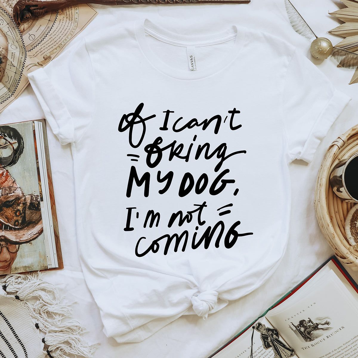 If I Can't Bring My Dog Lightweight Tee (Wholesale) sold by Ally and Rae product image thumbnail 5