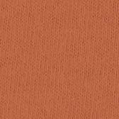 Tiger Graphic Tee Shirt (Wholesale) sold by Ally and Rae product image thumbnail 5