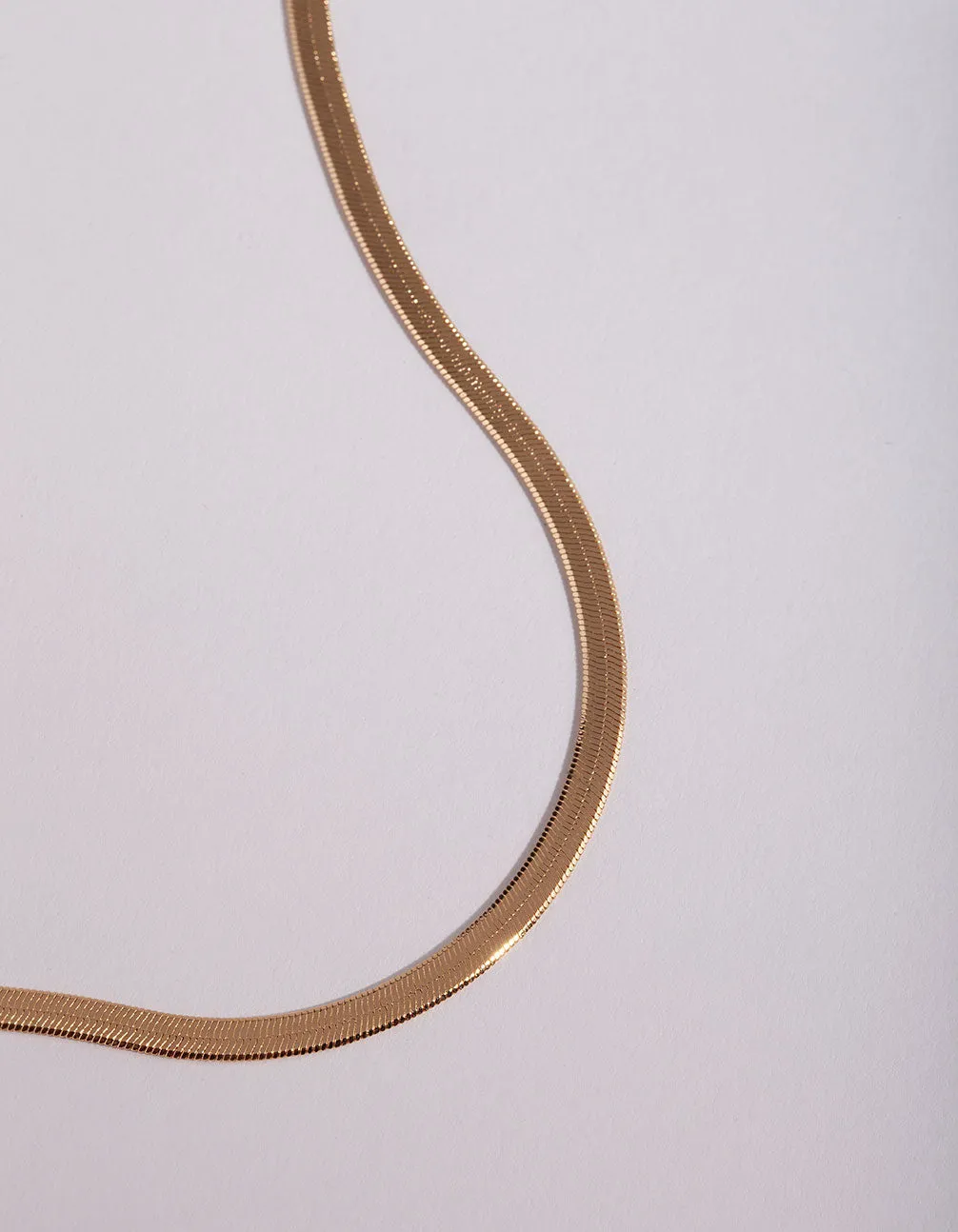 Gold Snake Chain Classic Necklace sold by lovisa product image thumbnail 2