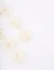Gold & Cream Petal Drop Earrings sold by lovisa