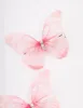 Pink Diamante Butterfly Hair Clip Pack sold by lovisa