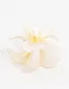Frangipani Ombre Claw Clip sold by lovisa