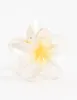 Frangipani Ombre Claw Clip sold by lovisa