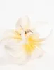 Frangipani Ombre Claw Clip sold by lovisa