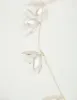 Mixed Flower Detail Dainty Halo sold by lovisa