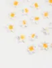 Yellow Frangipani Mini Hair Clips 20-Pack sold by lovisa
