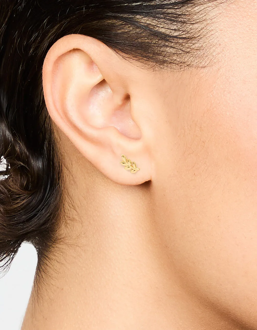 Gold Plated Surgical Steel Leaf Stud Earrings sold by lovisa product image thumbnail 2