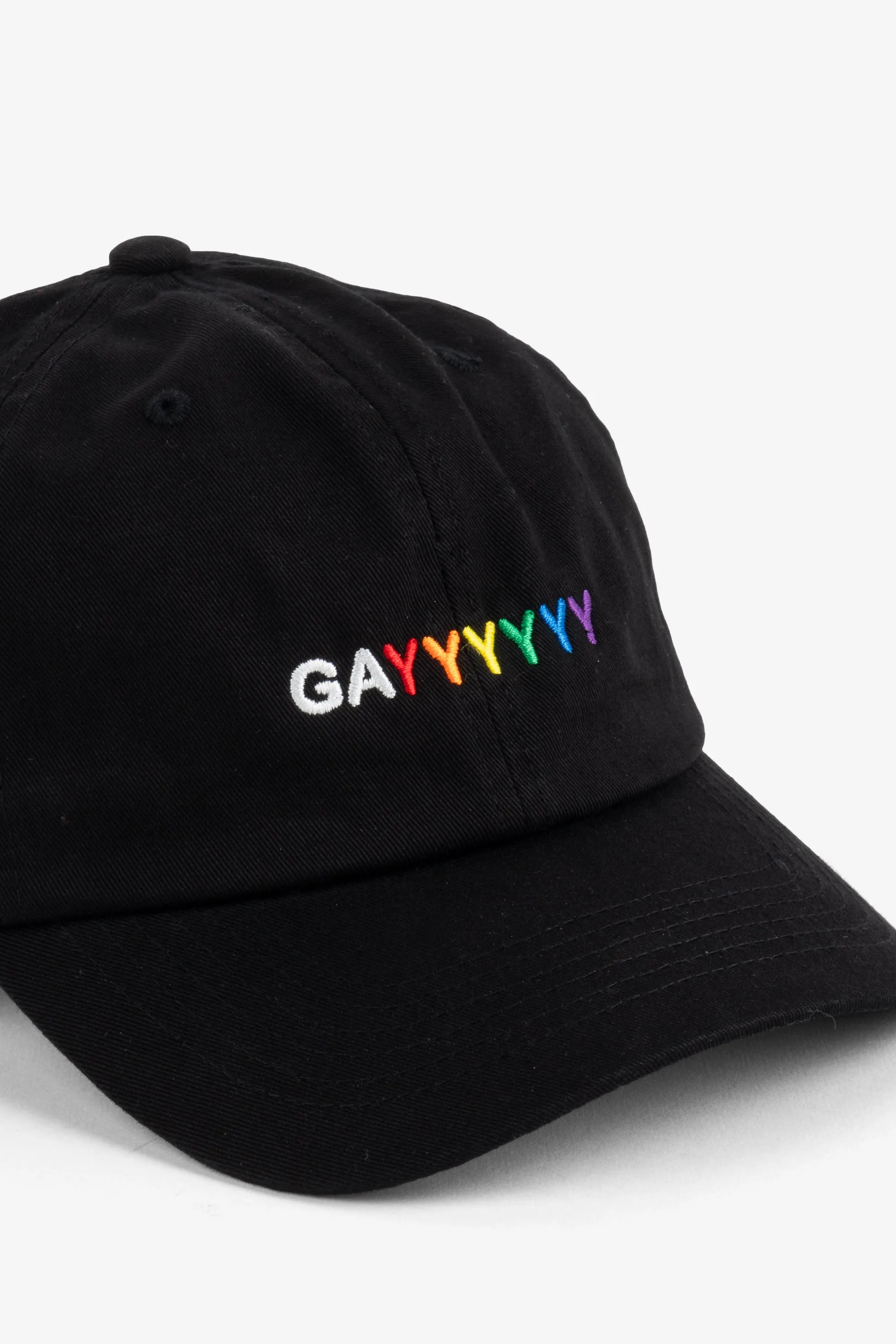 GAYYYYYY DAD CAP sold by Intentionally Blank product image thumbnail 2