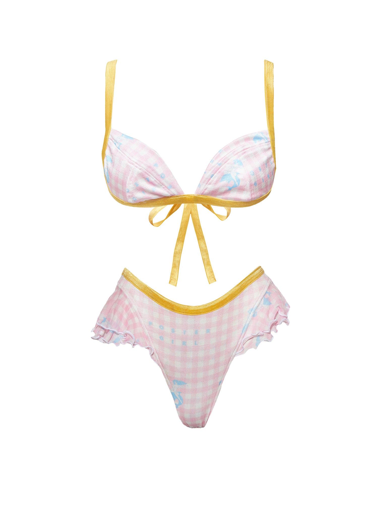 Richards Bikini Bottoms Pink Gingham sold by Poster Girl product image thumbnail 5