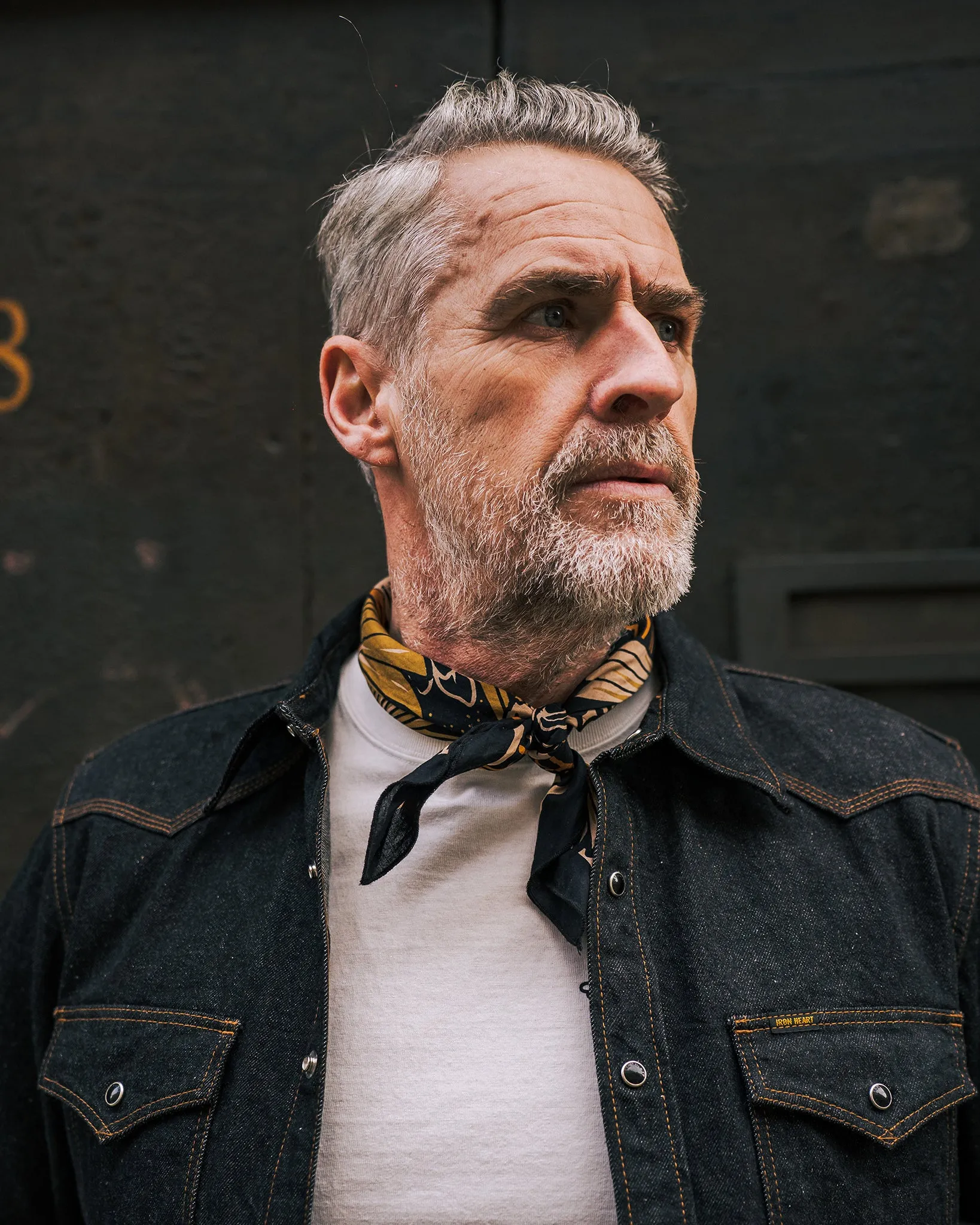 Felix Green Organic Cotton "Aviary" Bandana - Black sold by Iron Heart product image thumbnail 2