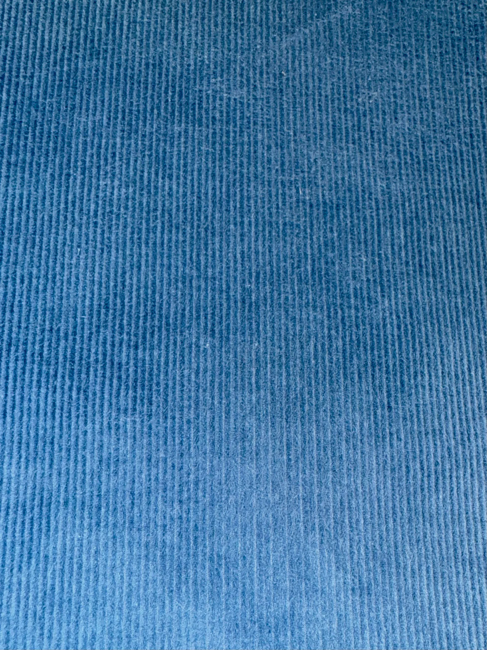 Celeste Capri Pant in Blue Corduroy sold by Anna Valentina product image thumbnail 5