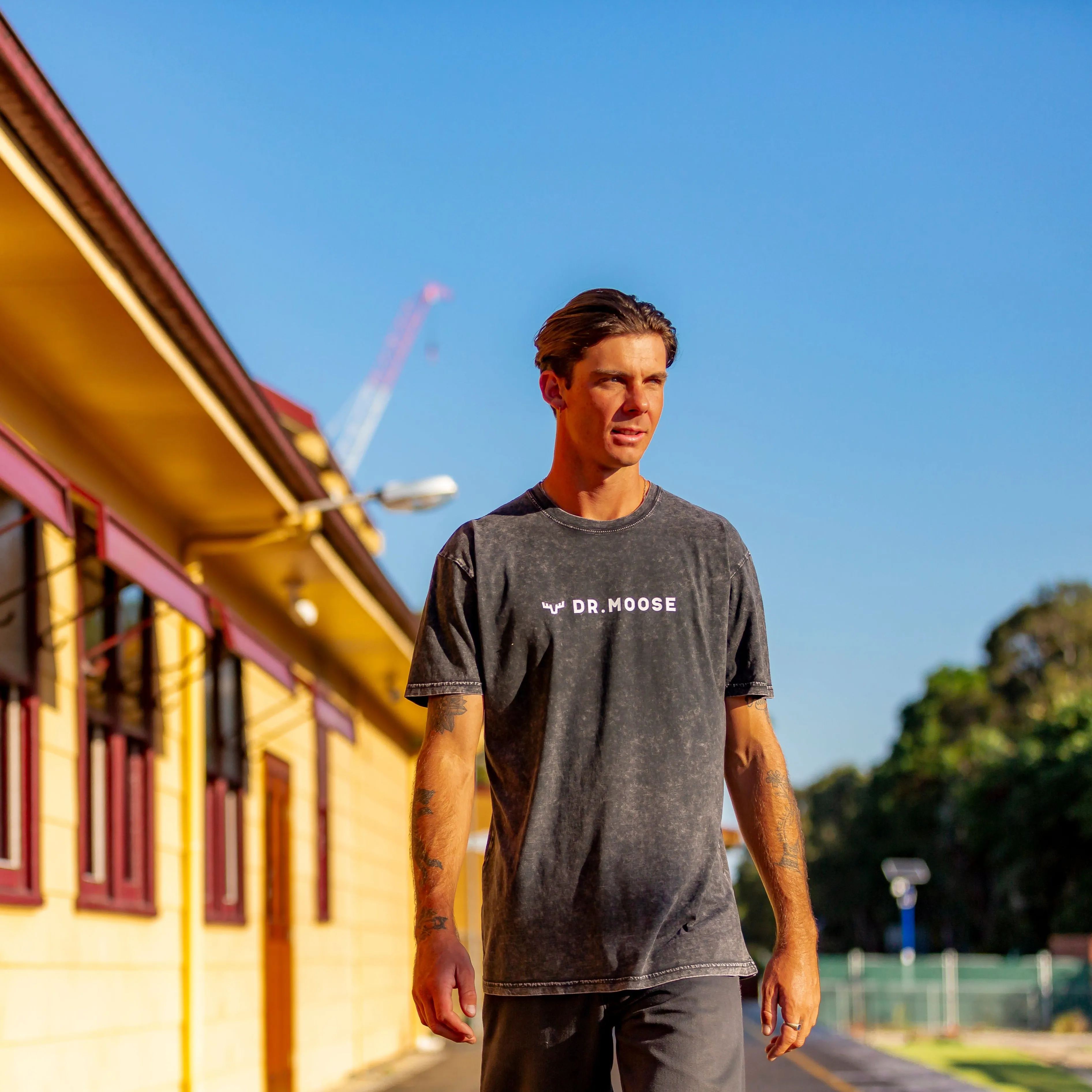 Dr. Moose Hori Logo sold by Dr. Moose