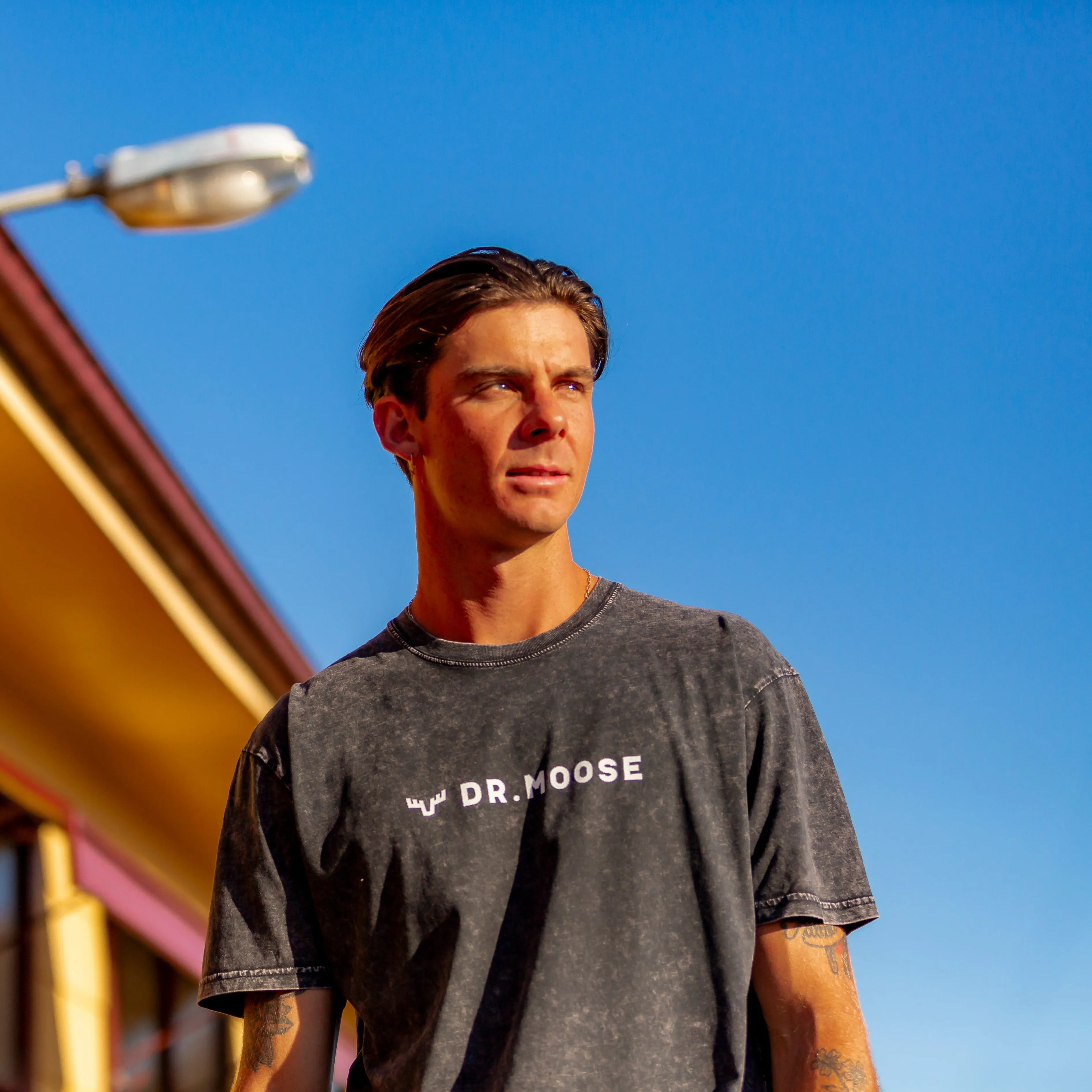 Dr. Moose Hori Logo sold by Dr. Moose product image thumbnail 3