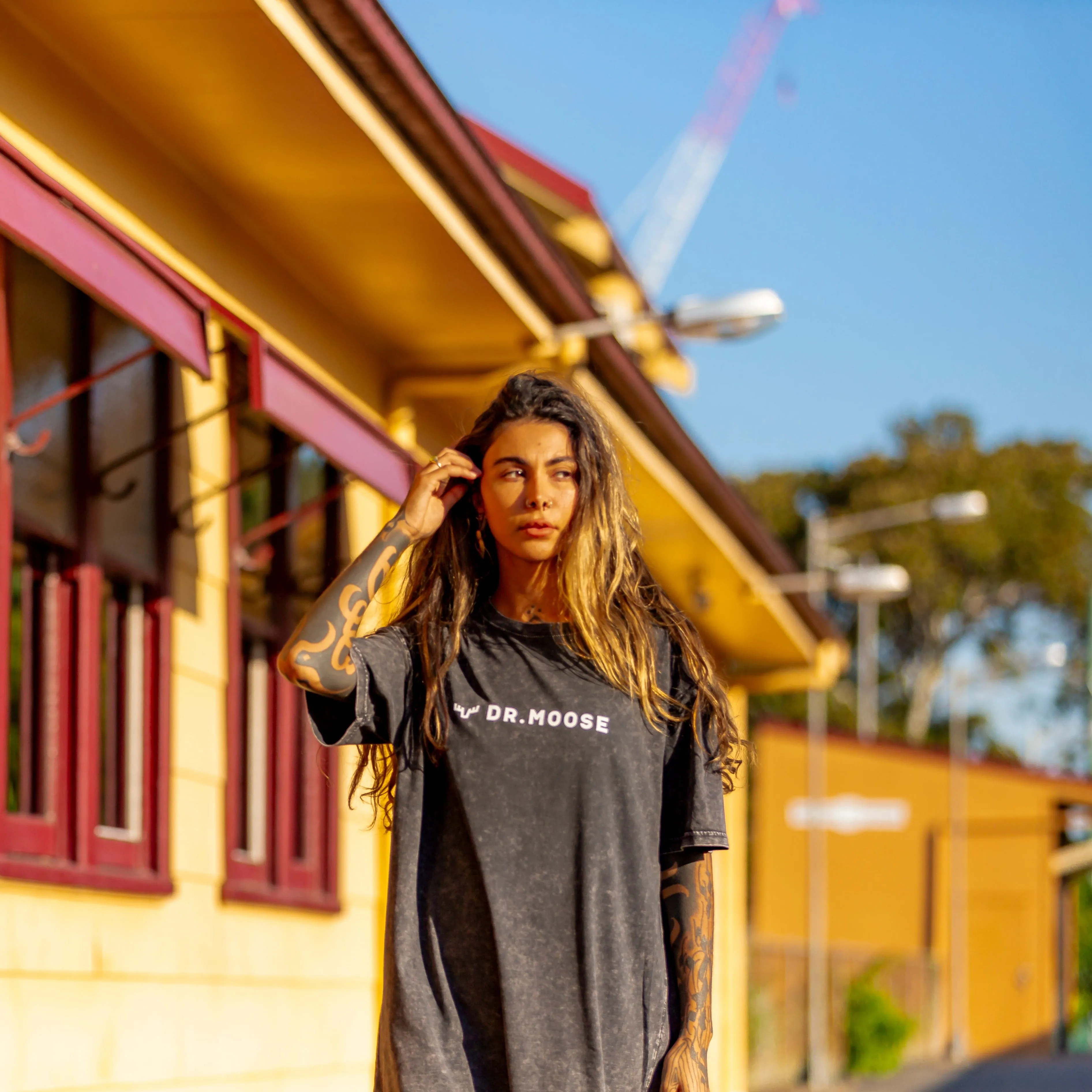 Dr. Moose Hori Logo sold by Dr. Moose product image thumbnail 2