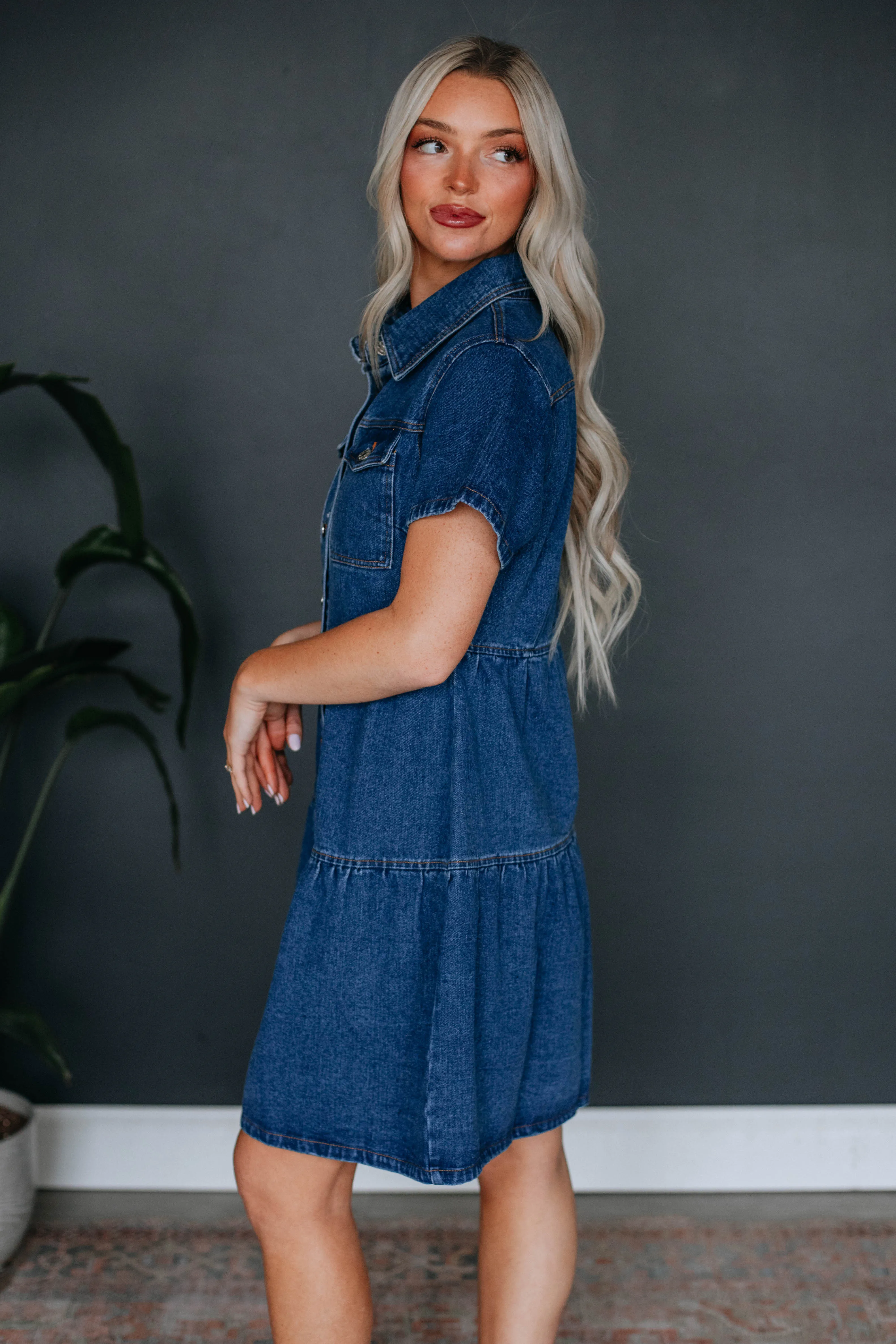 Emme Denim Dress sold by Wild Oak Boutique product image thumbnail 3