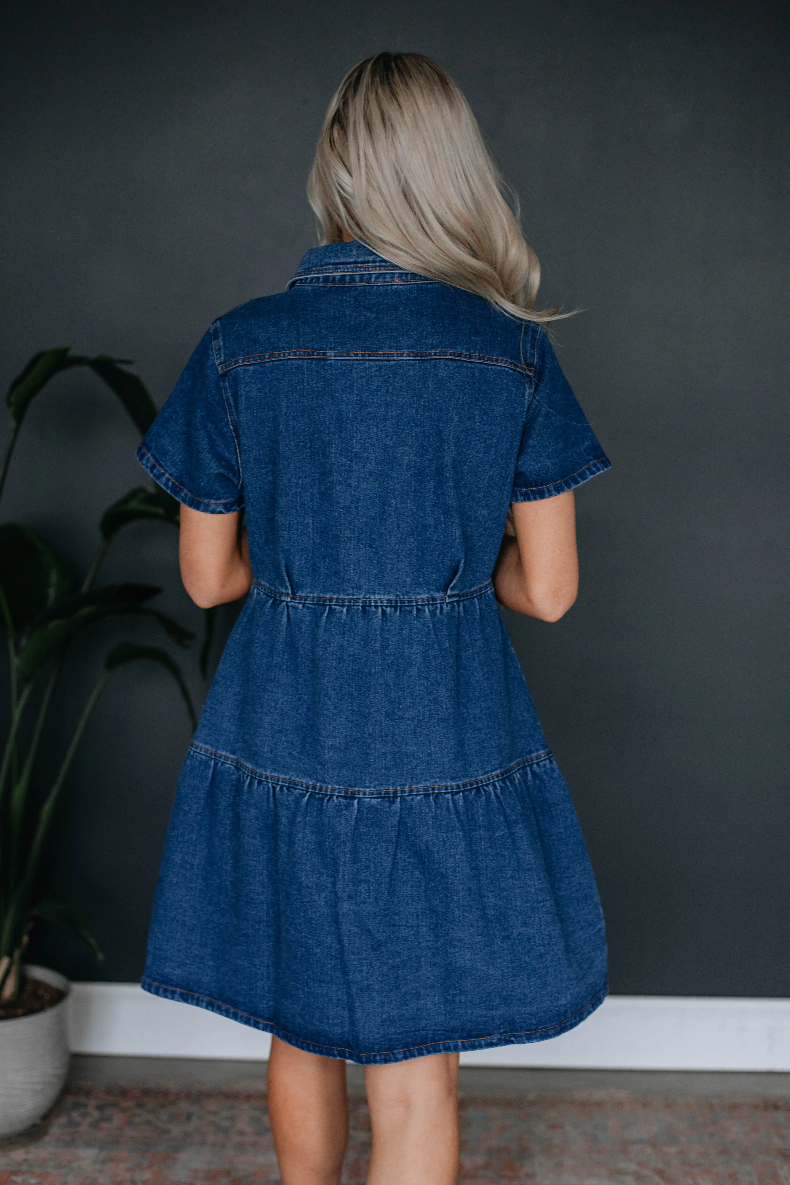 Emme Denim Dress sold by Wild Oak Boutique product image thumbnail 4