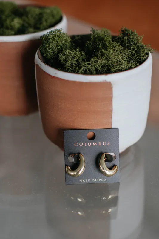 Juney Hoop Earrings sold by Wild Oak Boutique