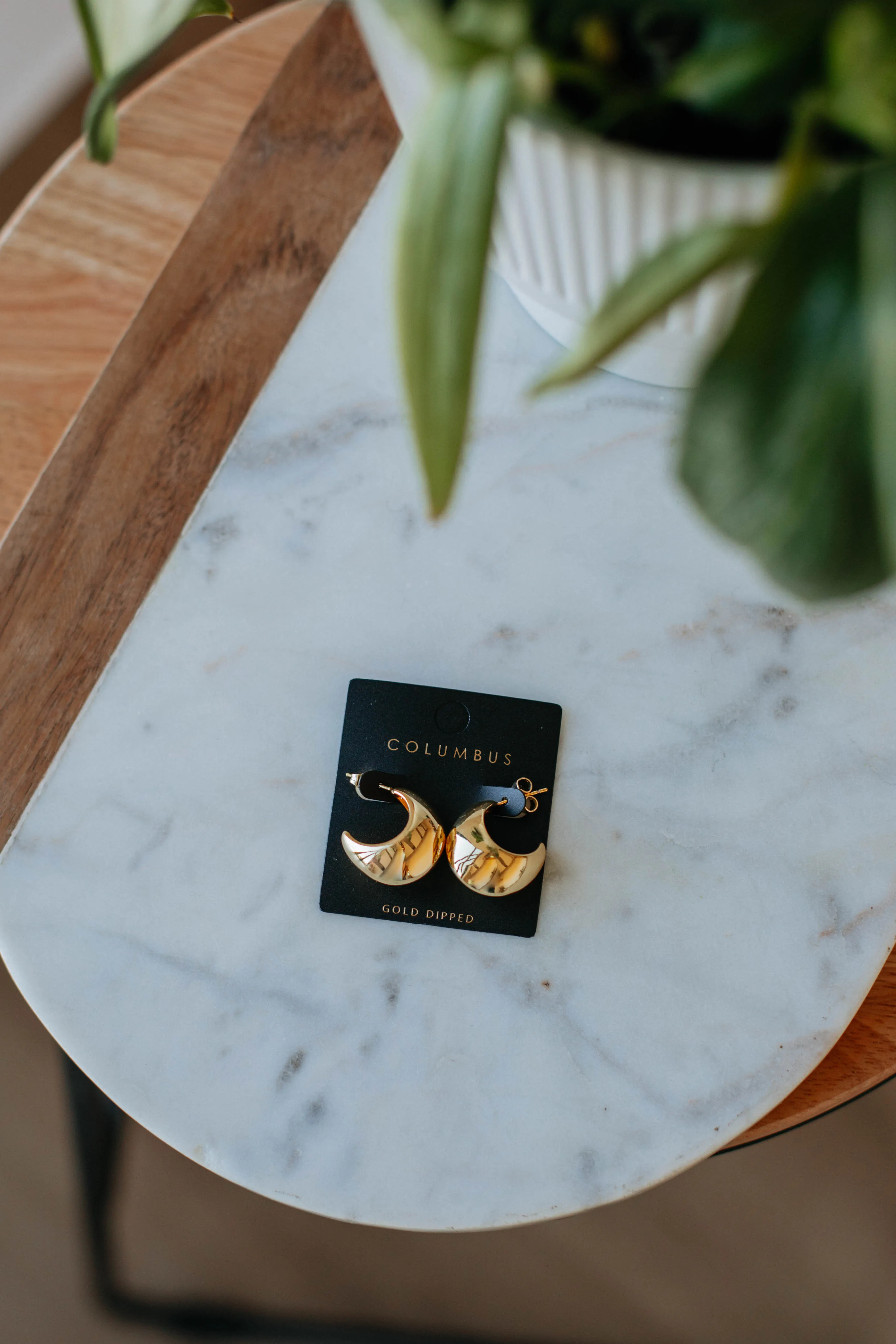 Ioana Hoop Earrings sold by Wild Oak Boutique