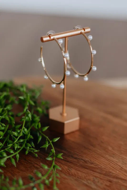 Danelle Hoop Earrings sold by Wild Oak Boutique