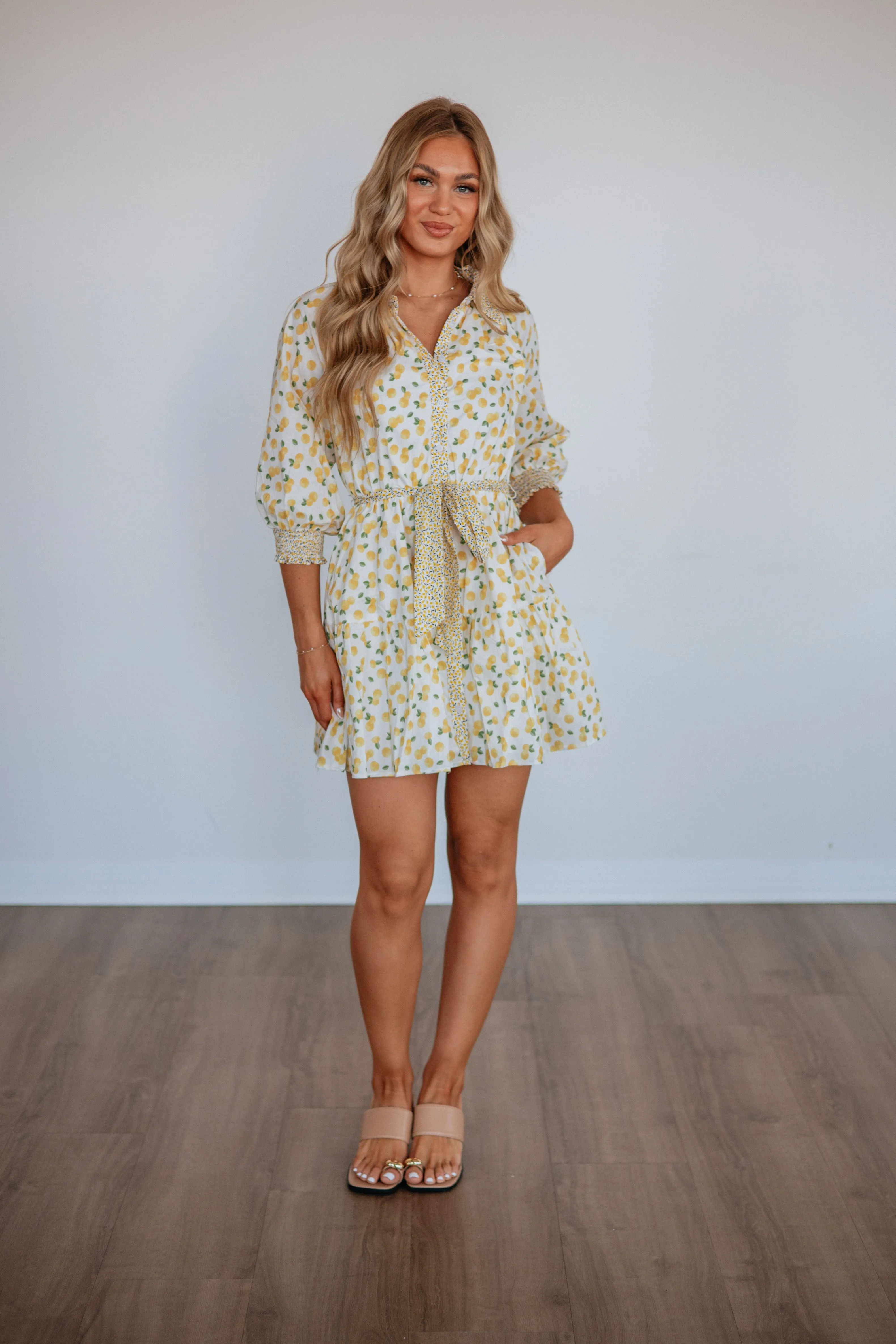 Sunny Squeeze Dress sold by Wild Oak Boutique product image thumbnail 3