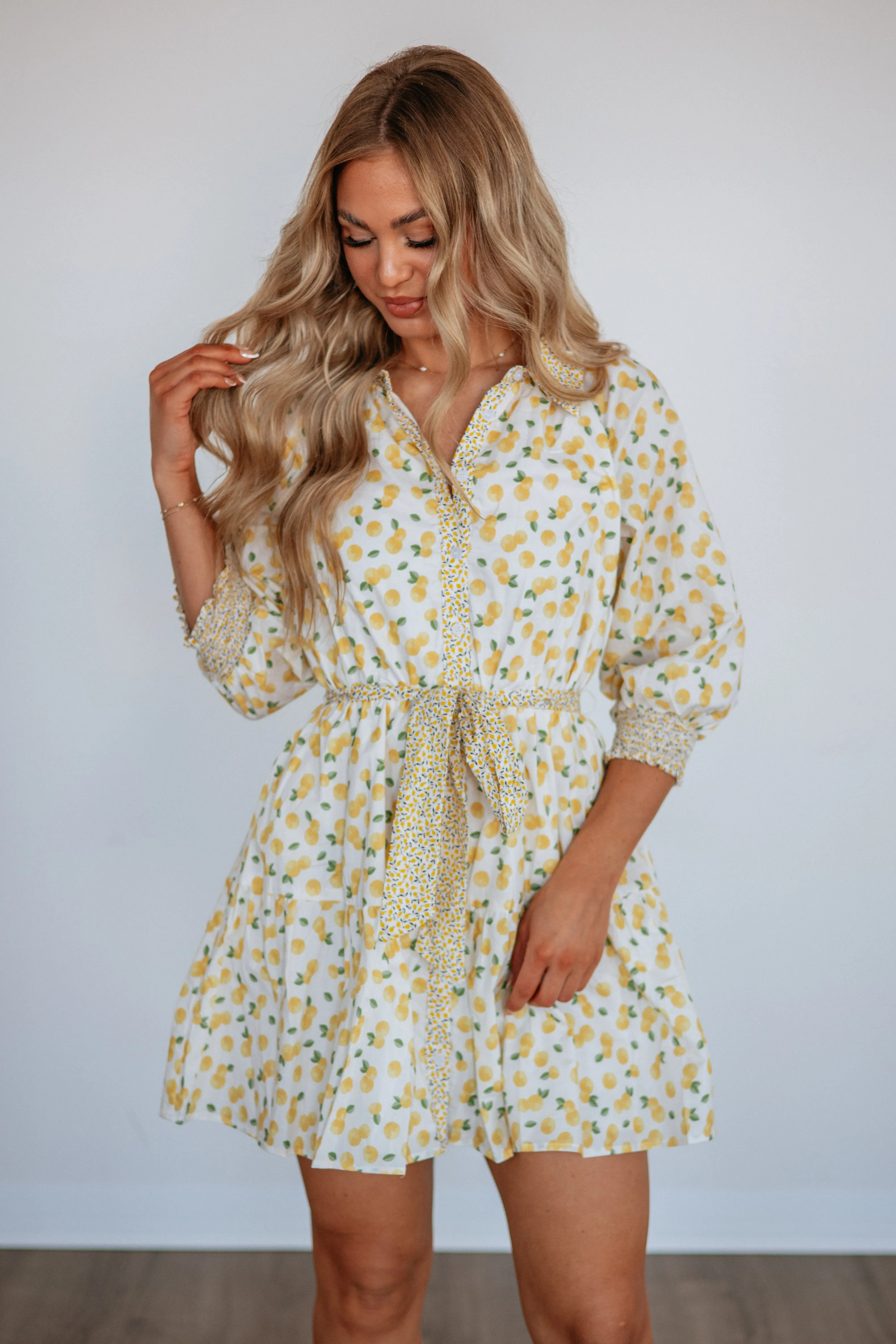 Sunny Squeeze Dress sold by Wild Oak Boutique product image thumbnail 4