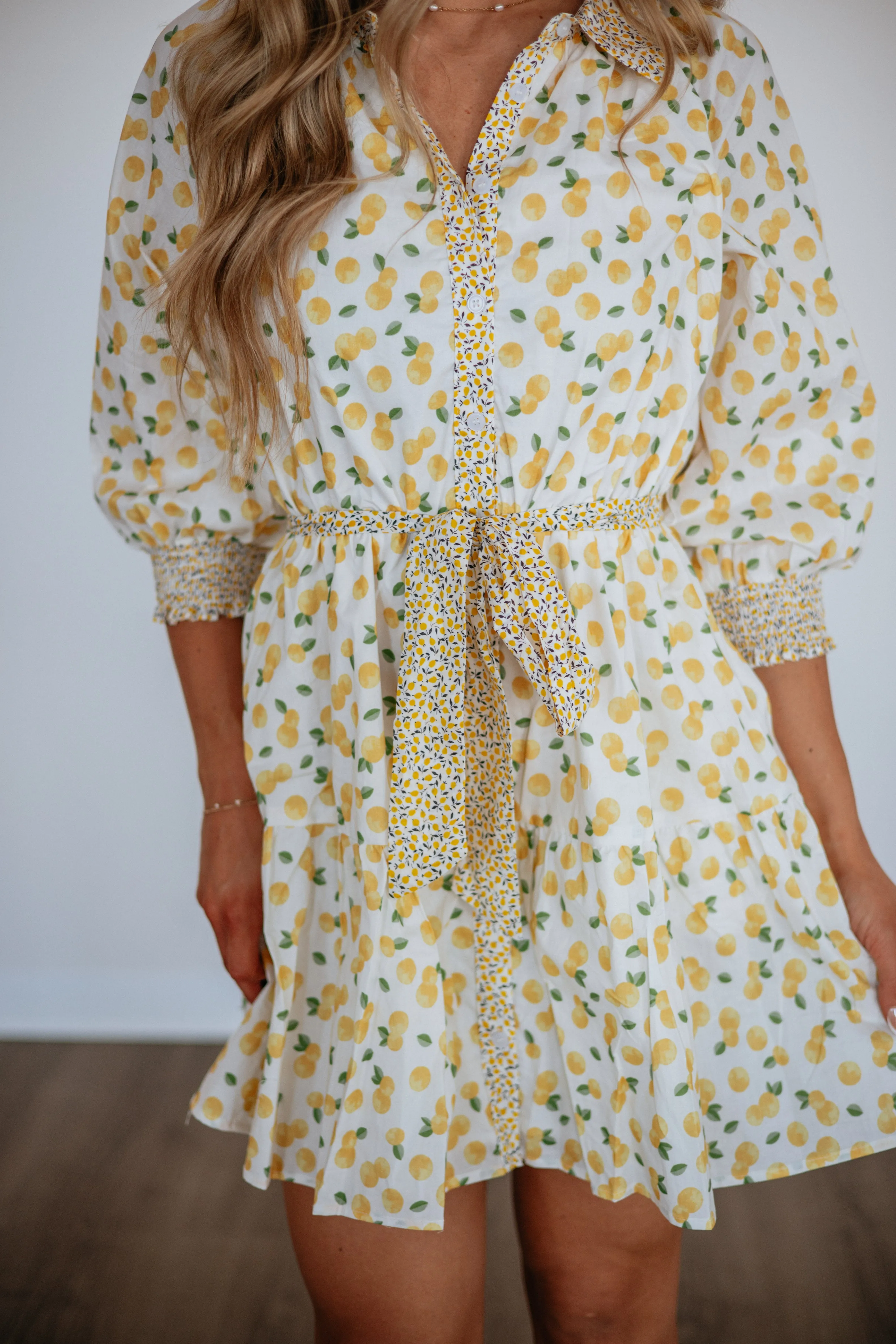 Sunny Squeeze Dress sold by Wild Oak Boutique product image thumbnail 2