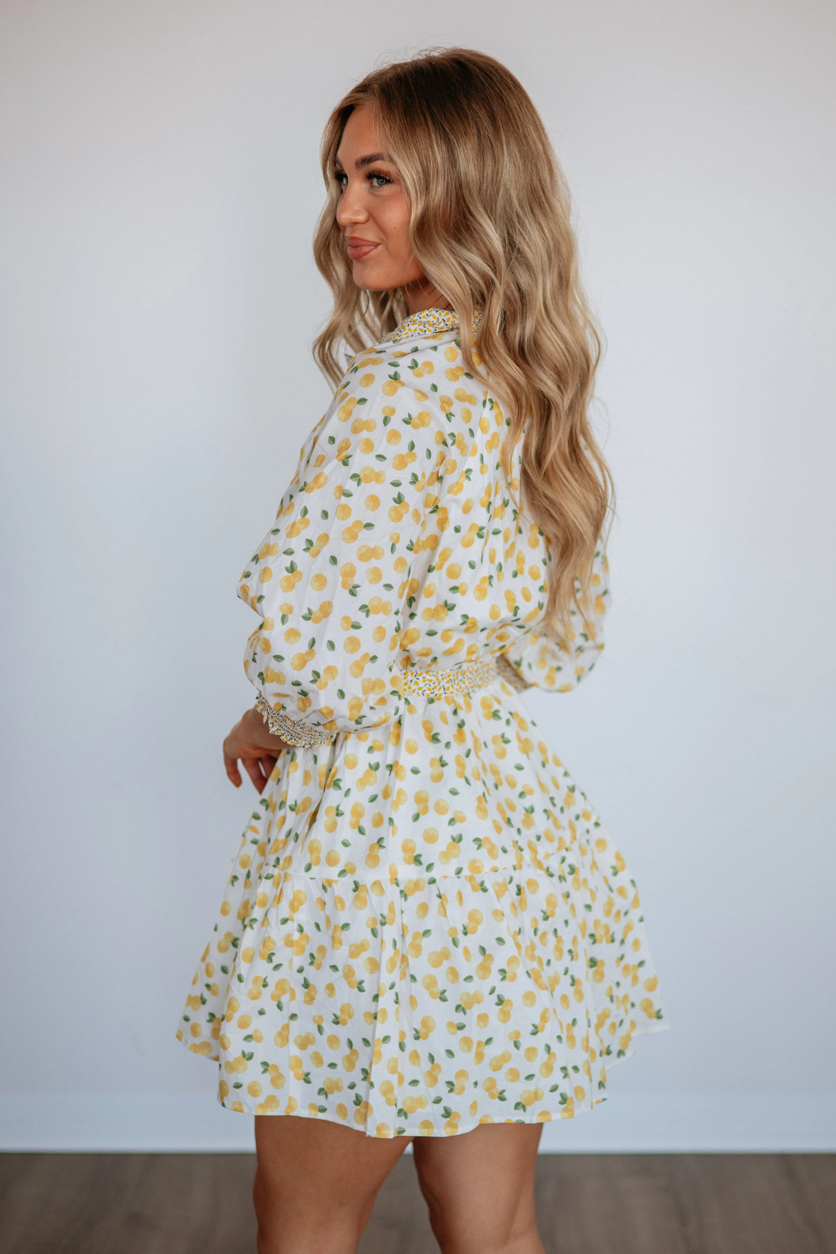 Sunny Squeeze Dress sold by Wild Oak Boutique product image thumbnail 5