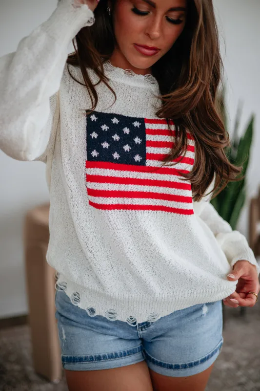 Proud to Be American Sweater made by Klesis