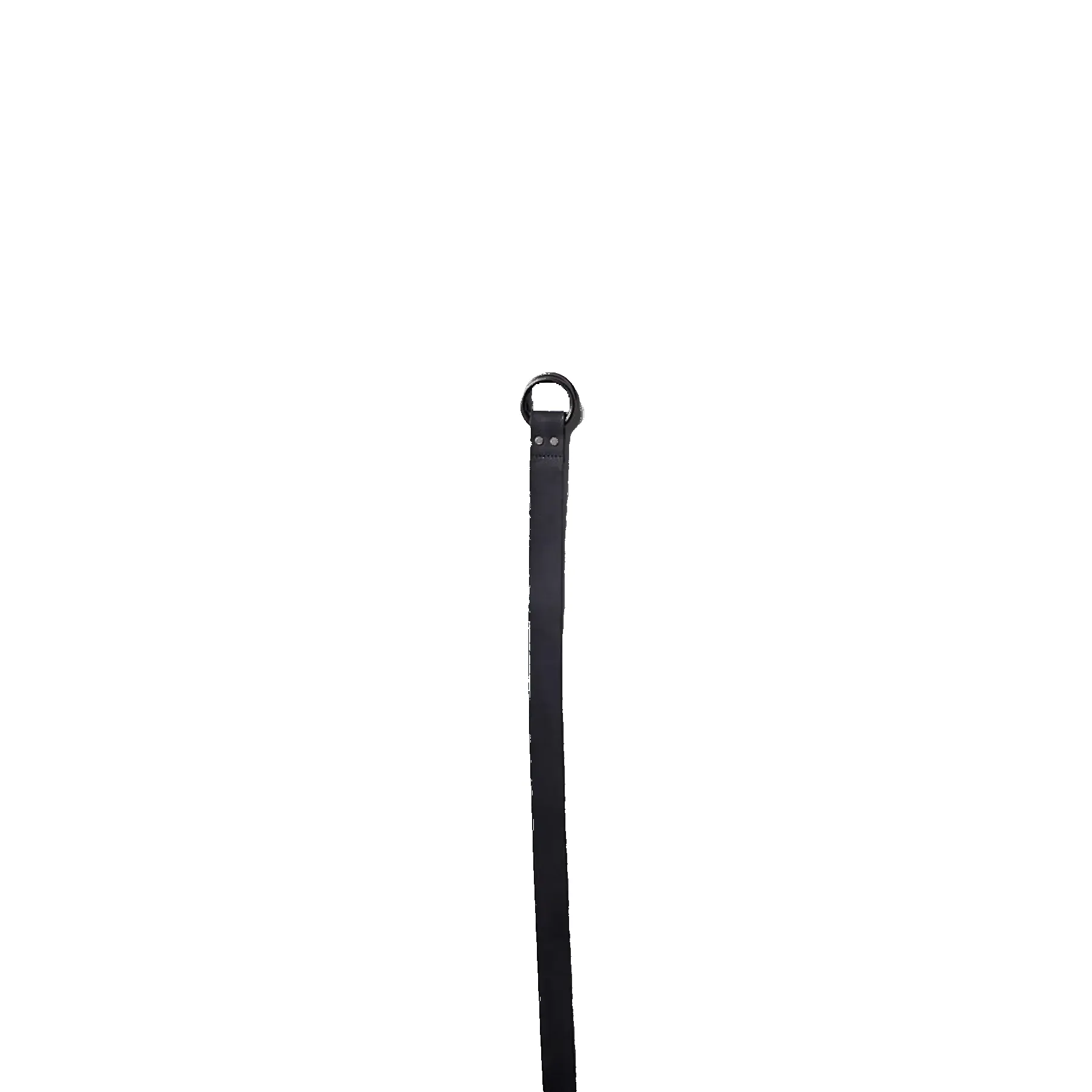 O-Ring Signature Leather Belt - Black sold by Grown & Sewn product image thumbnail 2