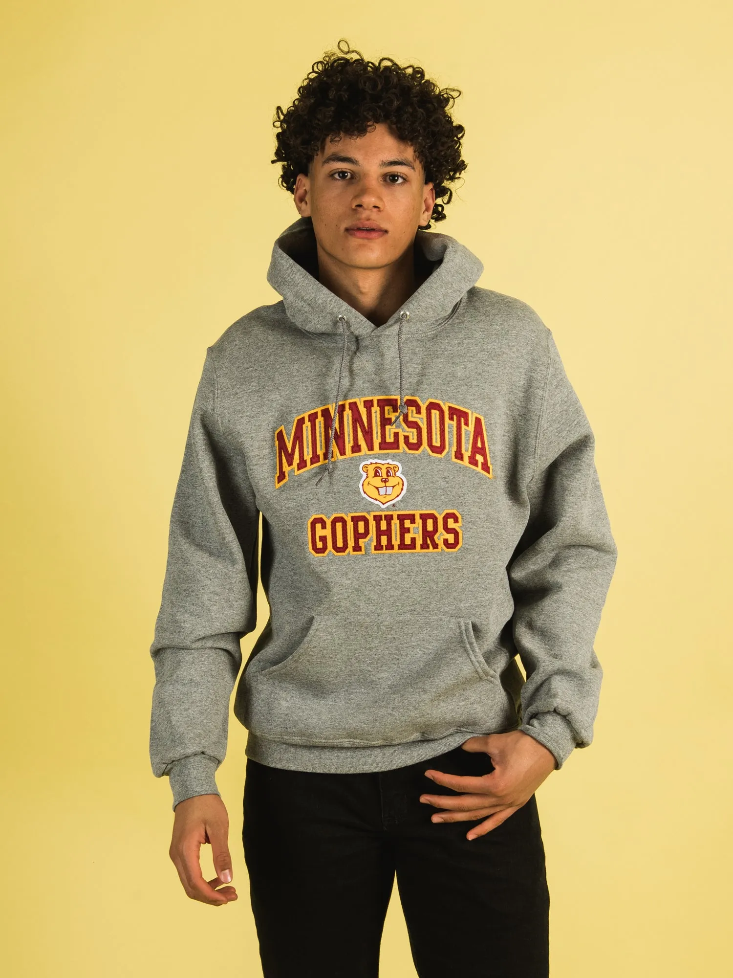 NCAA MINNESOTA PULLOVER HOODIE sold by Boathouse product image thumbnail 3