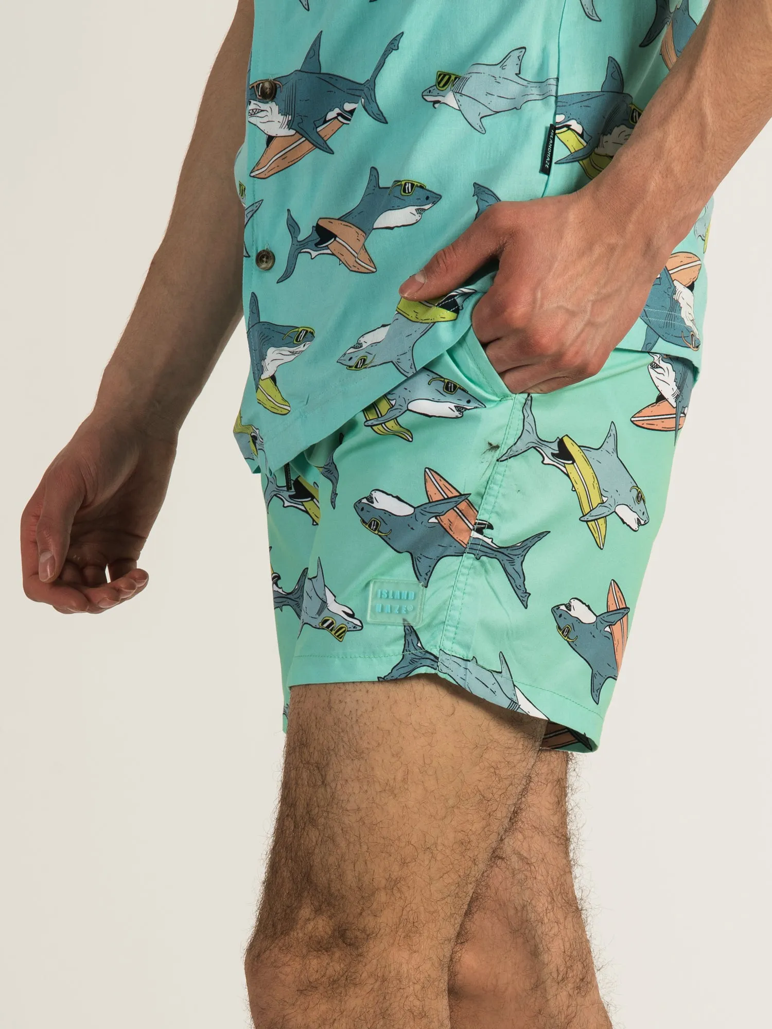 ISLAND HAZE SURFING SHARK VOLLEY - CLEARANCE sold by Boathouse product image thumbnail 2