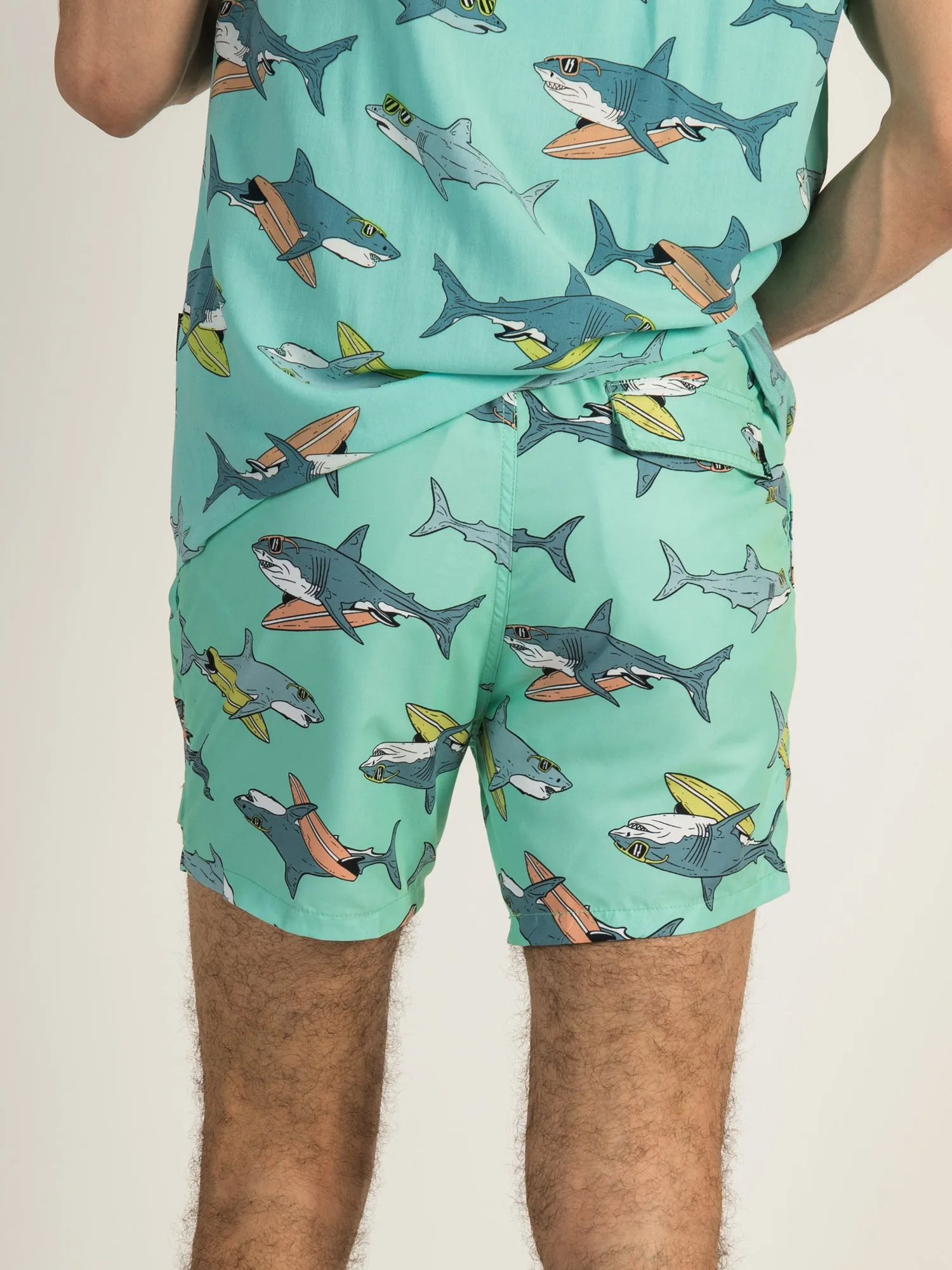 ISLAND HAZE SURFING SHARK VOLLEY - CLEARANCE sold by Boathouse product image thumbnail 3