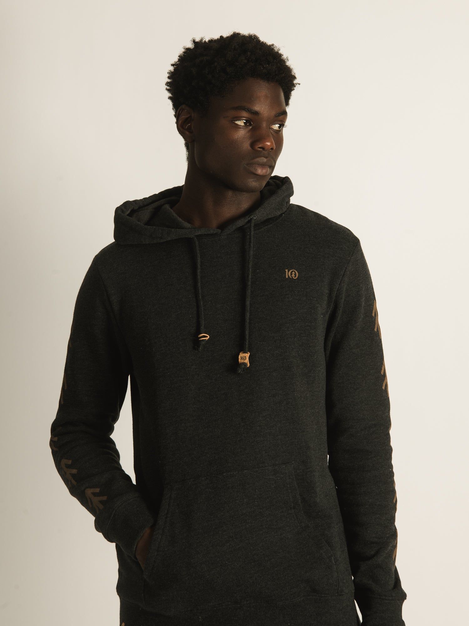 TENTREE TREE SLEEVE PULLOVER HOODIE sold by Boathouse product image thumbnail 3