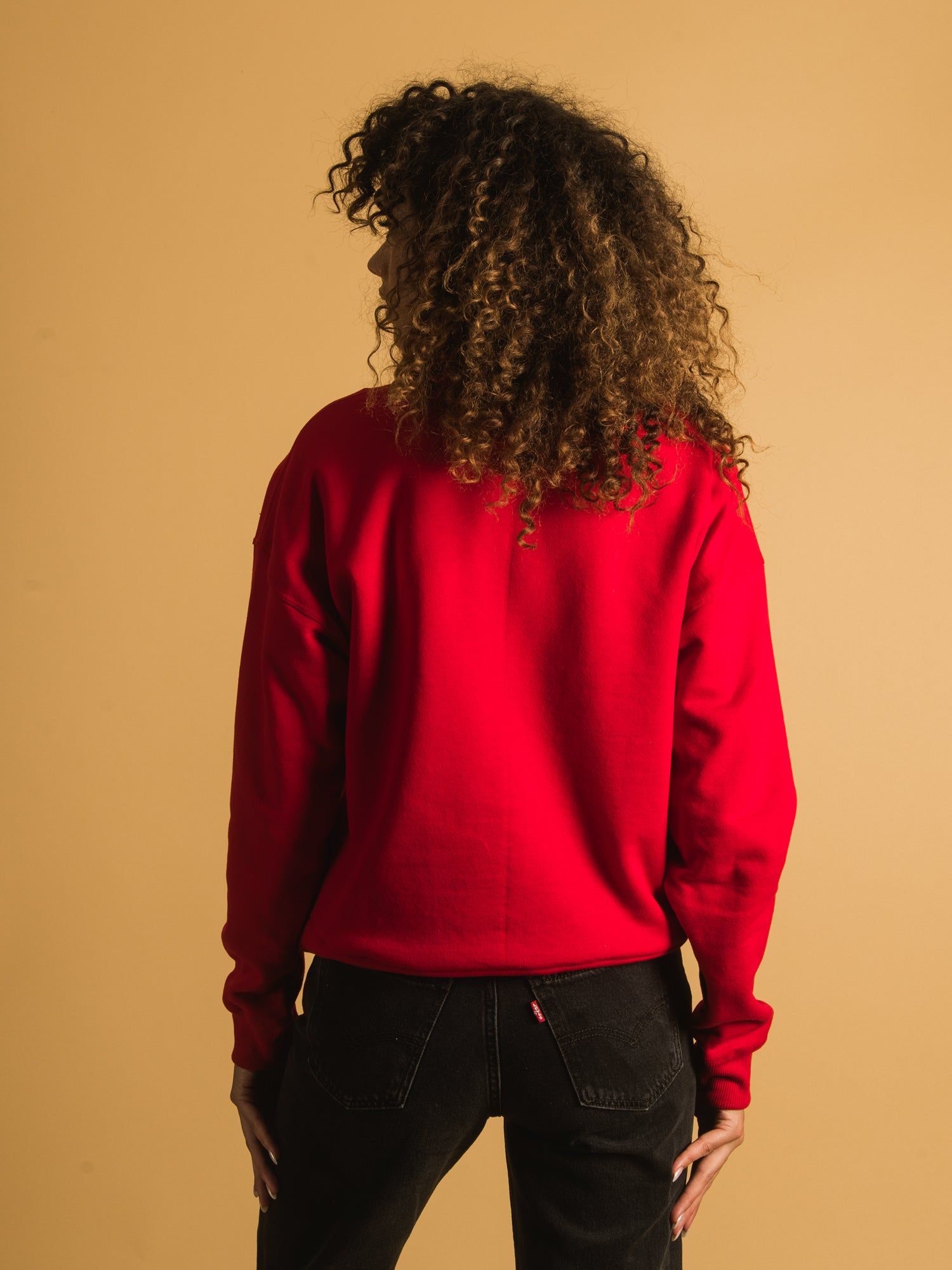 CHAMPION POWERBLEND 1/2 ZIP - CLEARANCE sold by Boathouse product image thumbnail 3