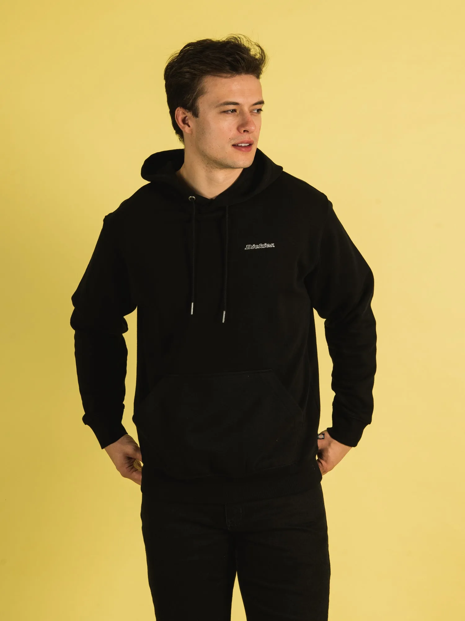 DICKIES UNIONTOWN HOODIE - CLEARANCE sold by Boathouse