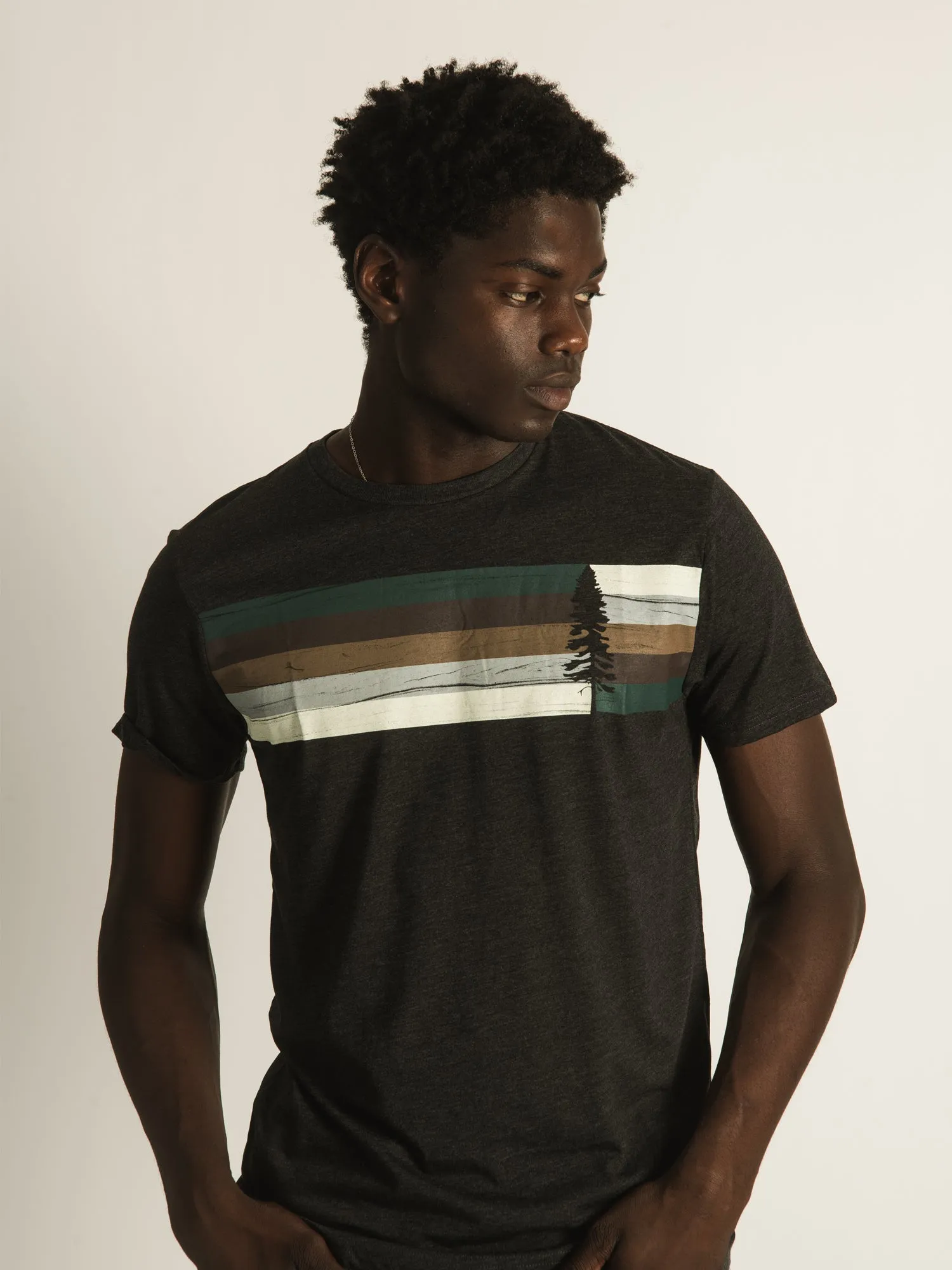 TENTREE SPRUCE STRIPE T-SHIRT - CLEARANCE sold by Boathouse