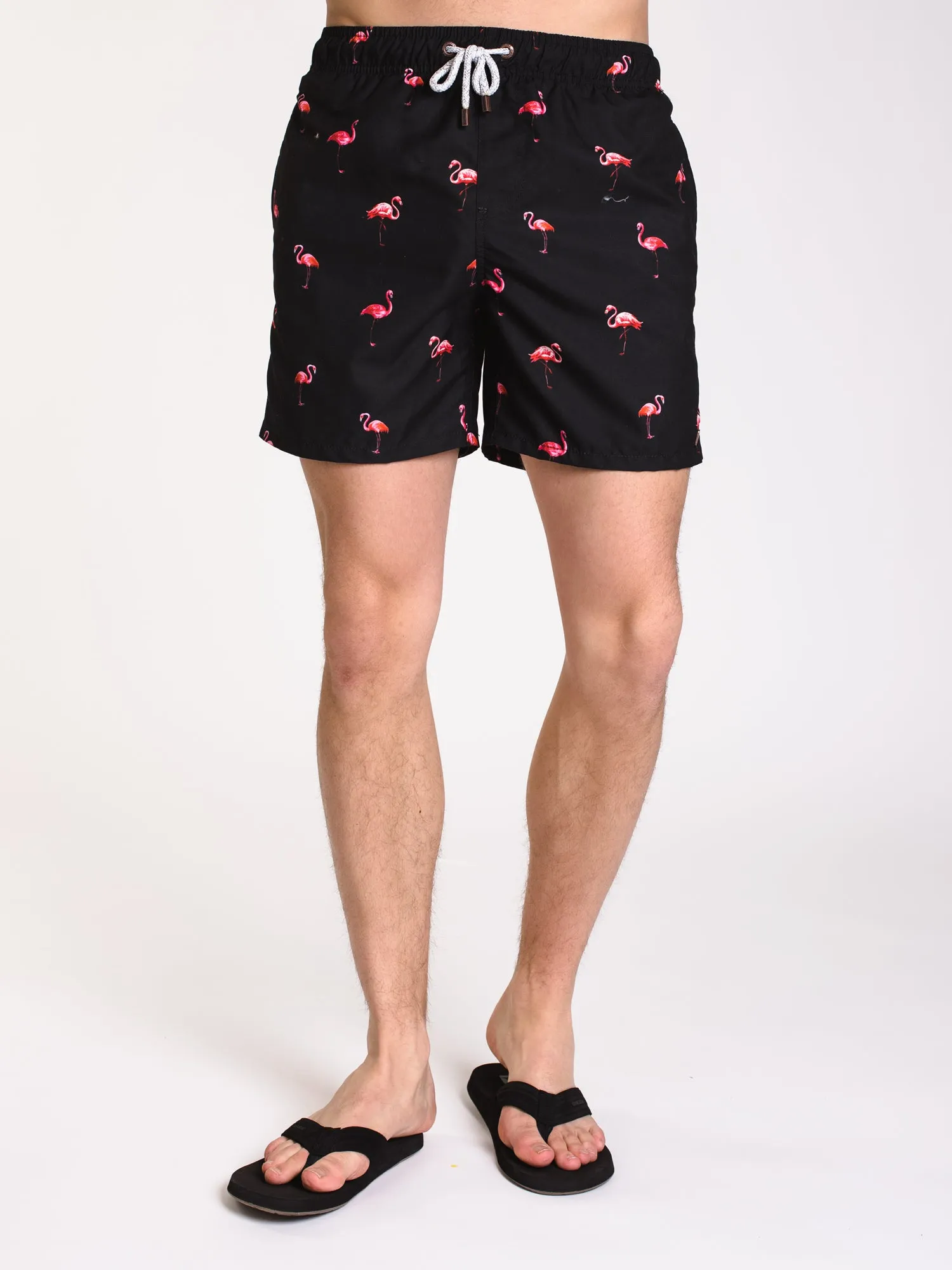 MENS THE FLAMINGOES VOLLEY - CLEARANCE sold by Boathouse