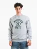 CHAMPION MICHIGAN CREWNECK - CLEARANCE sold by Boathouse